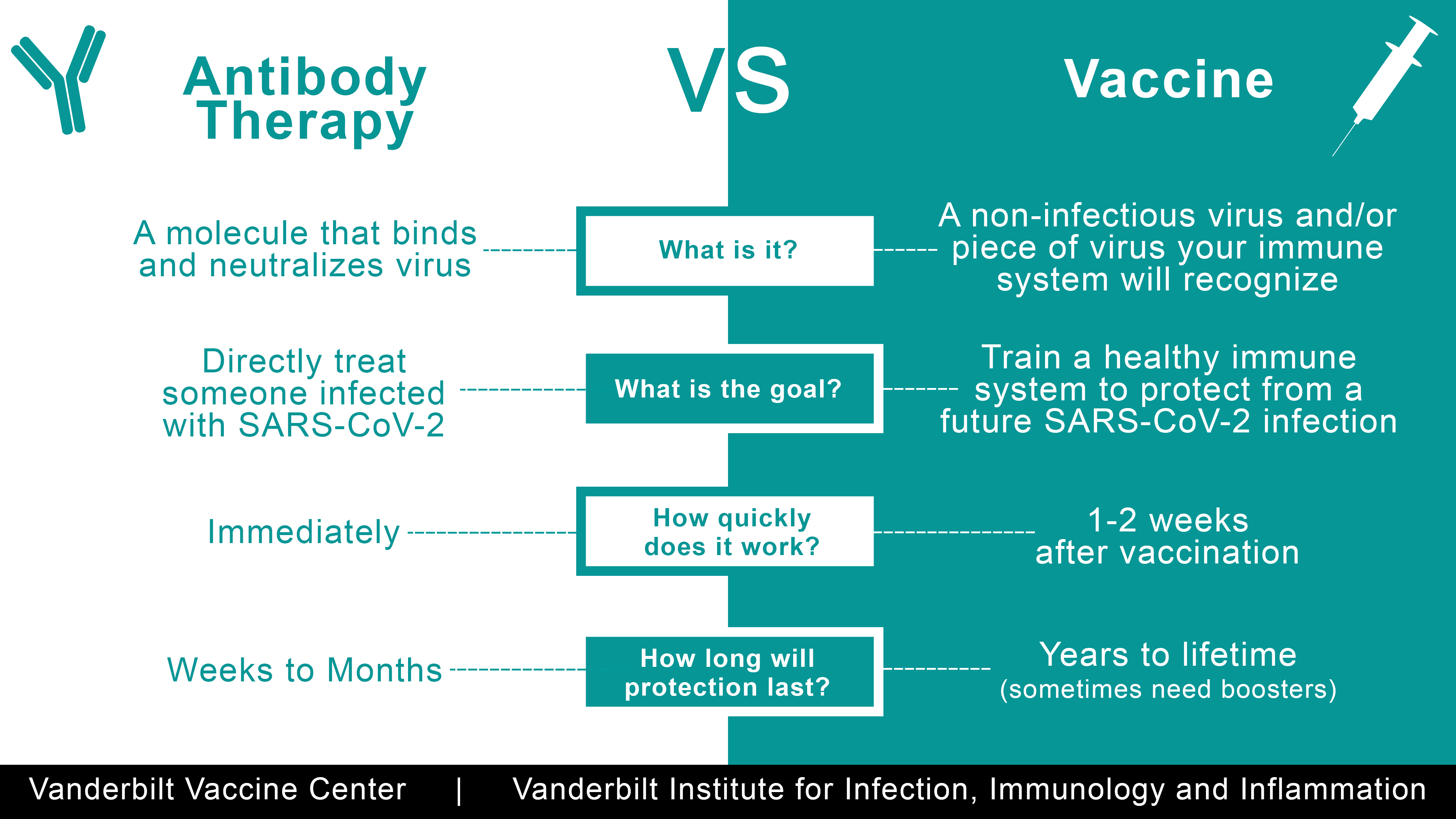 Antibody Therapy Vs Vaccine Vanderbilt Institute For Infection